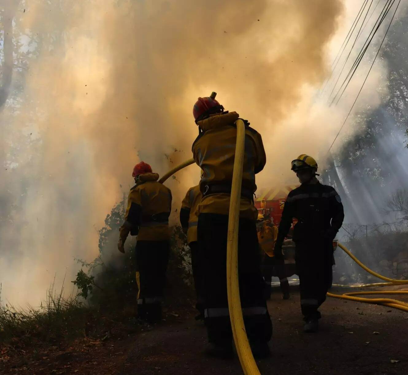 Le violent incendie qui a ravagé 12 hectares de forêt à quelques kilomètres du Var est désormais maîtrisé