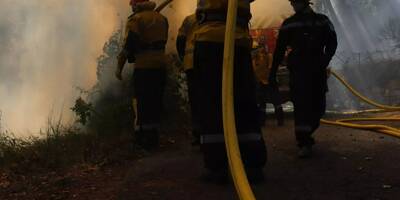 Le violent incendie qui a ravagé 12 hectares de forêt à quelques kilomètres du Var est désormais maîtrisé