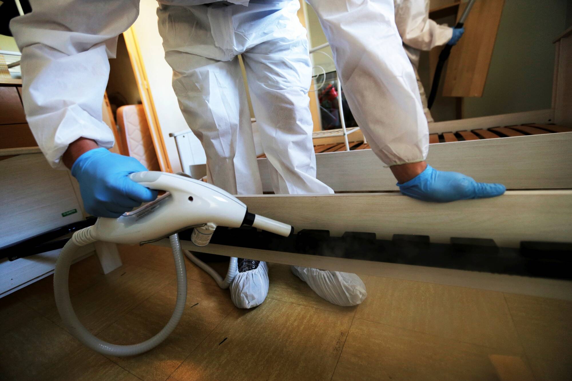 "Ça grouillait sur les murs, sur le lit, partout": infestée par des punaises de lit pendant trois ans, une Niçoise raconte son calvaire