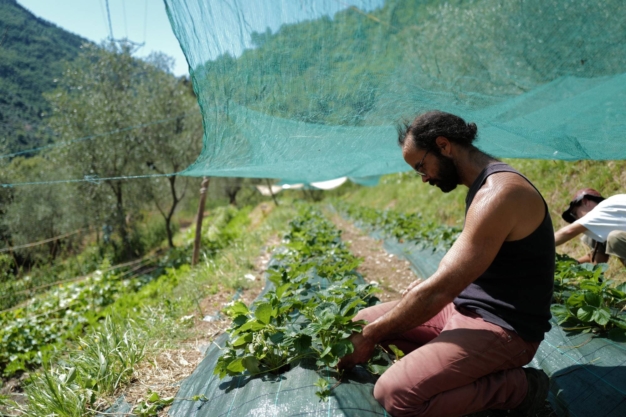 "Ce que je fais est juste". Son combat judiciaire et l'immigration... Cédric Herrou en parle dans son nouveau livre