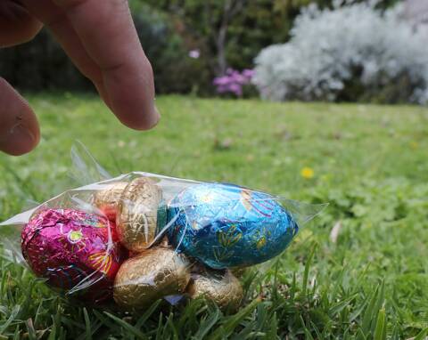 Chasse aux œufs de Pâques : le top des chocolats à cacher - Le