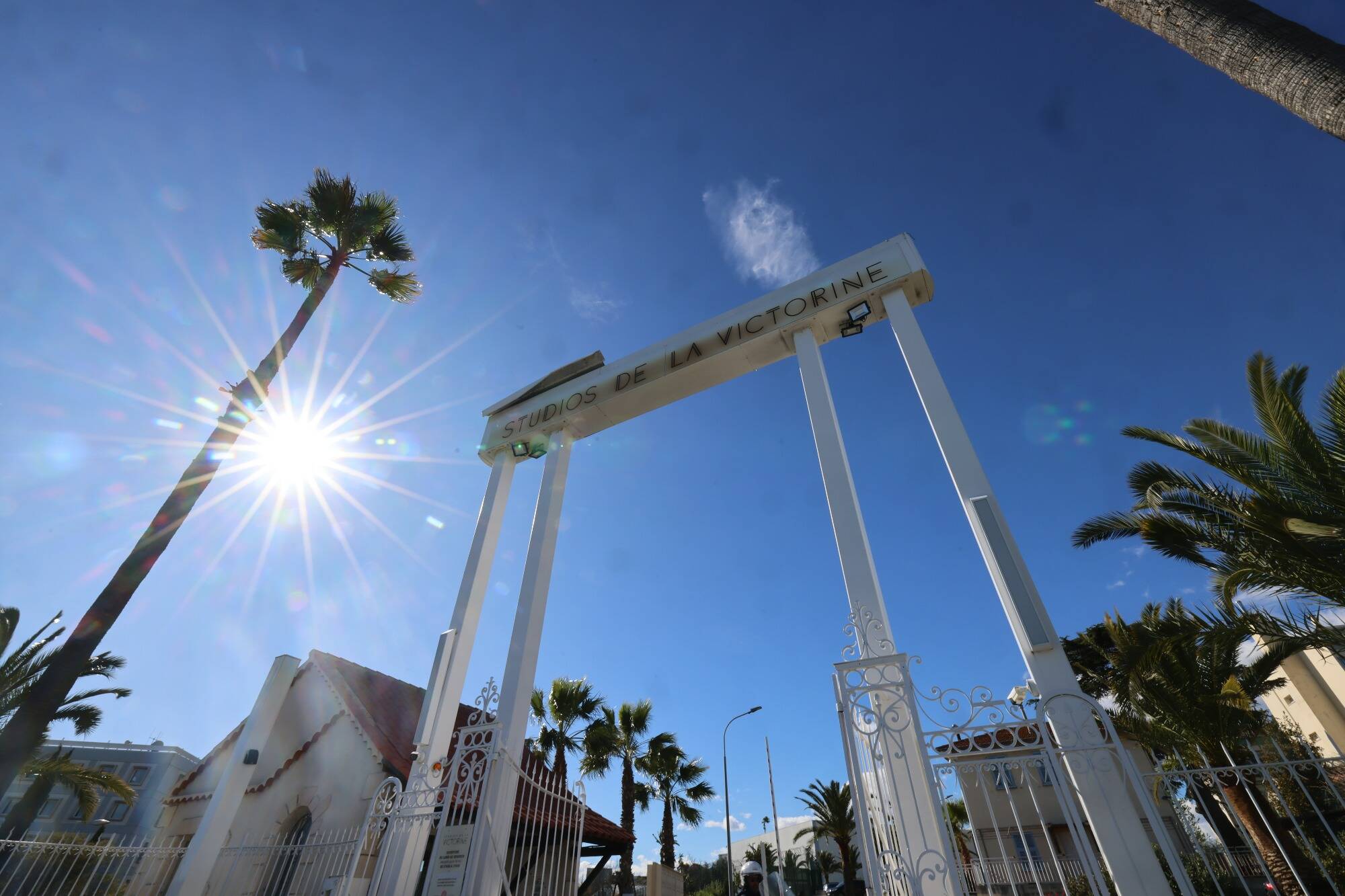 Pour sa nouvelle édition, l'almanach de la Fédération des associations du Comté de Nice déroule le tapis rouge au cinéma local