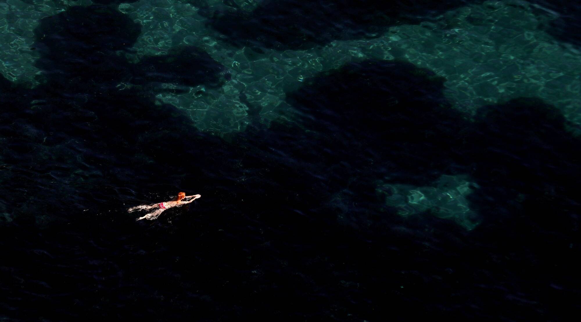 "Ce sanctuaire est une expérience inédite qui n'a pas d'égal en Méditerranée": l'accord Pelagos fête ses 25 ans