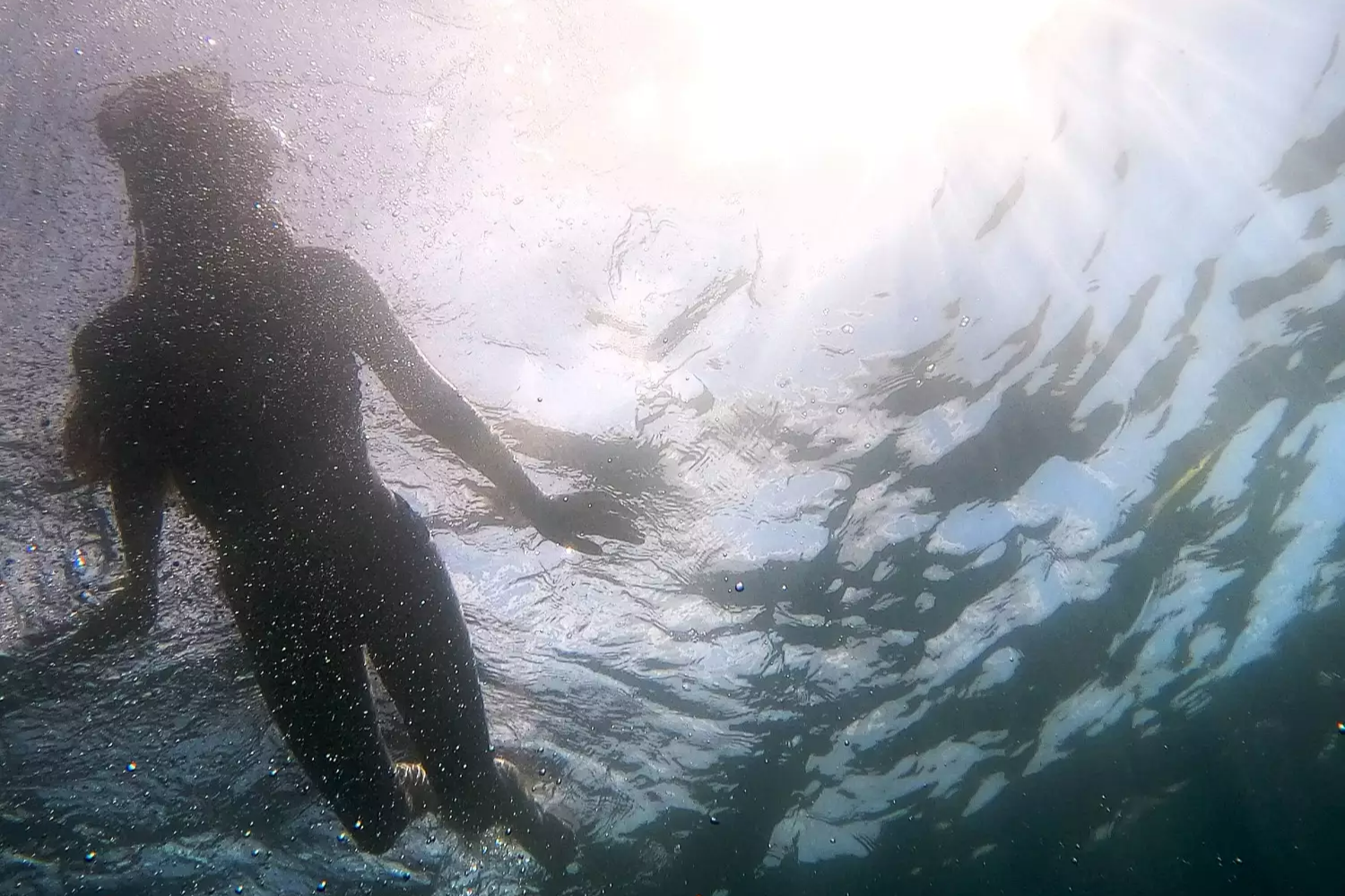 À cause des canicules marines, "l'océan pourrait devenir comme une bouteille de soda qu'on a laissée chauffer"