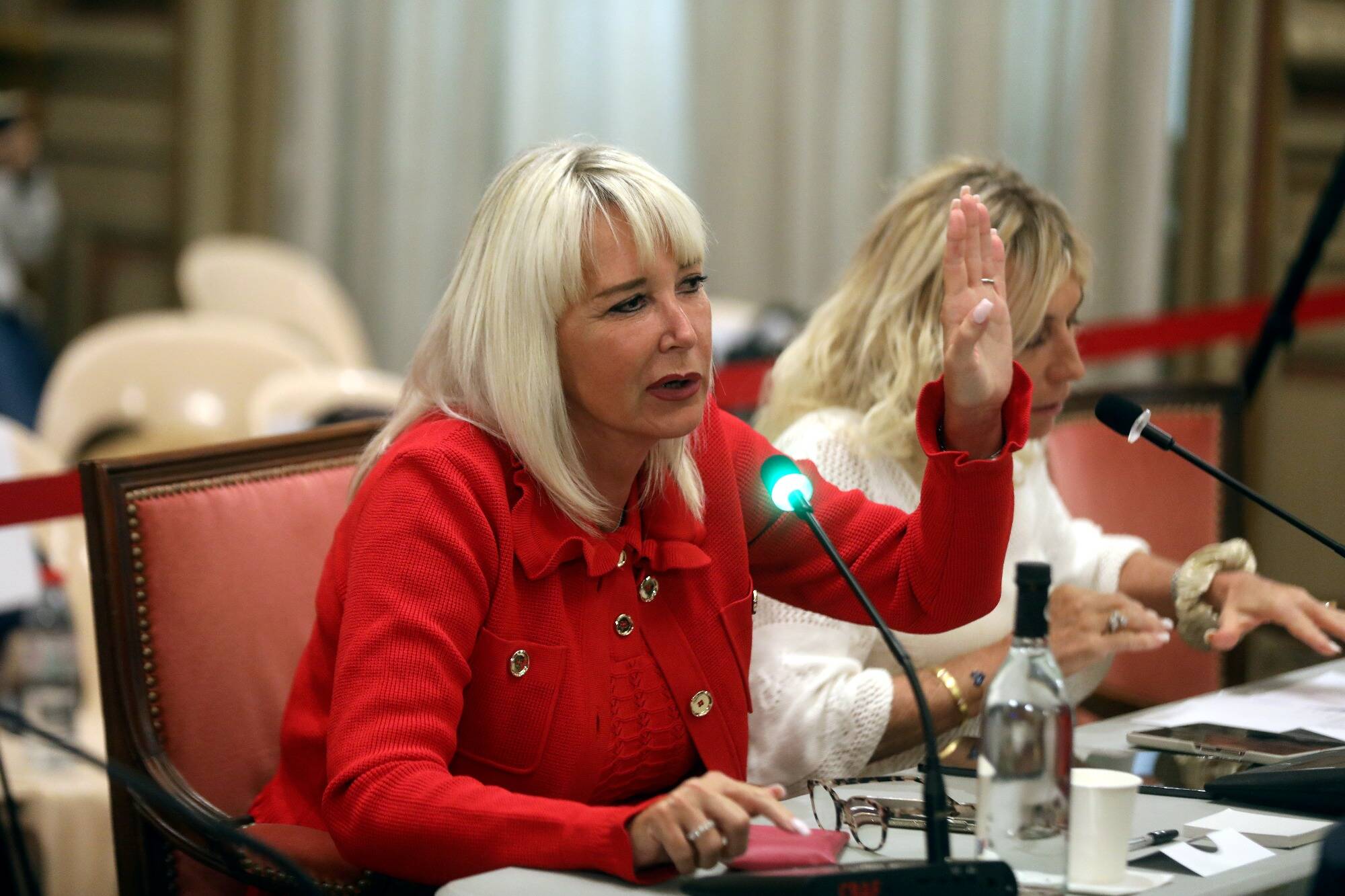 "Merci d'avoir refusé de me laisser lire mon message": une élue de l'opposition de Menton voulait soutenir les victimes du Hamas, le maire lui coupe le micro