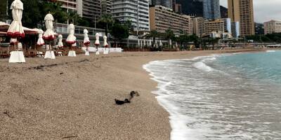 A Monaco, la baignade en partie interdite jusqu'au 30 avril sur la plage du Larvotto