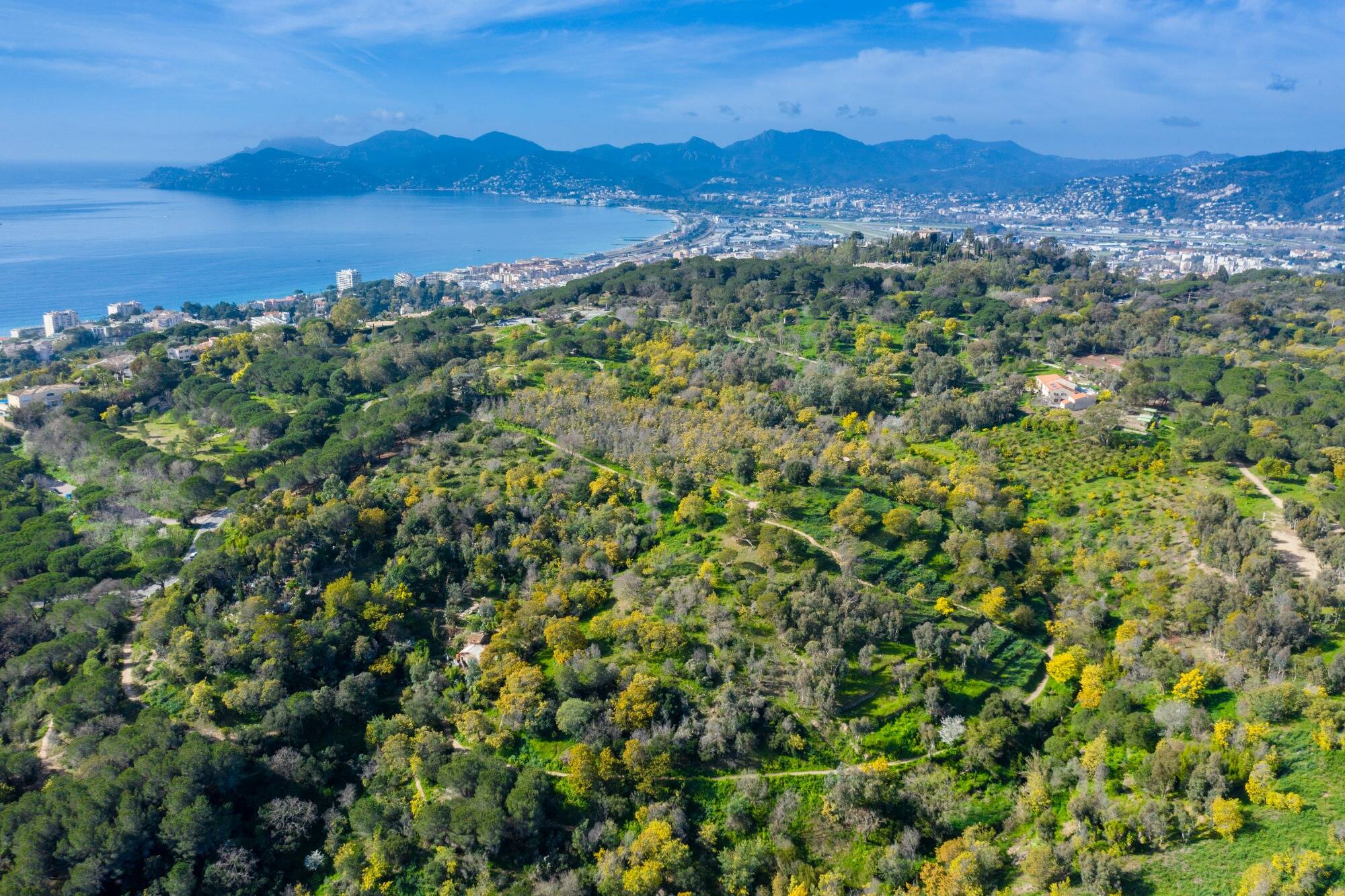 Vous avez des projets pour un tourisme plus responsable à Cannes? Cette journée est faite pour vous