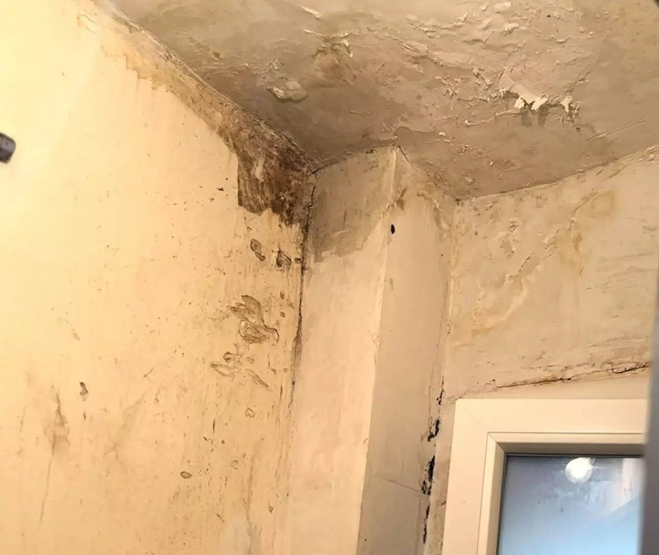 Après 4 ans d'insalubrité dans les logements, les travaux ont (enfin) débuté dans cette résidence HLM de Nice-Ouest