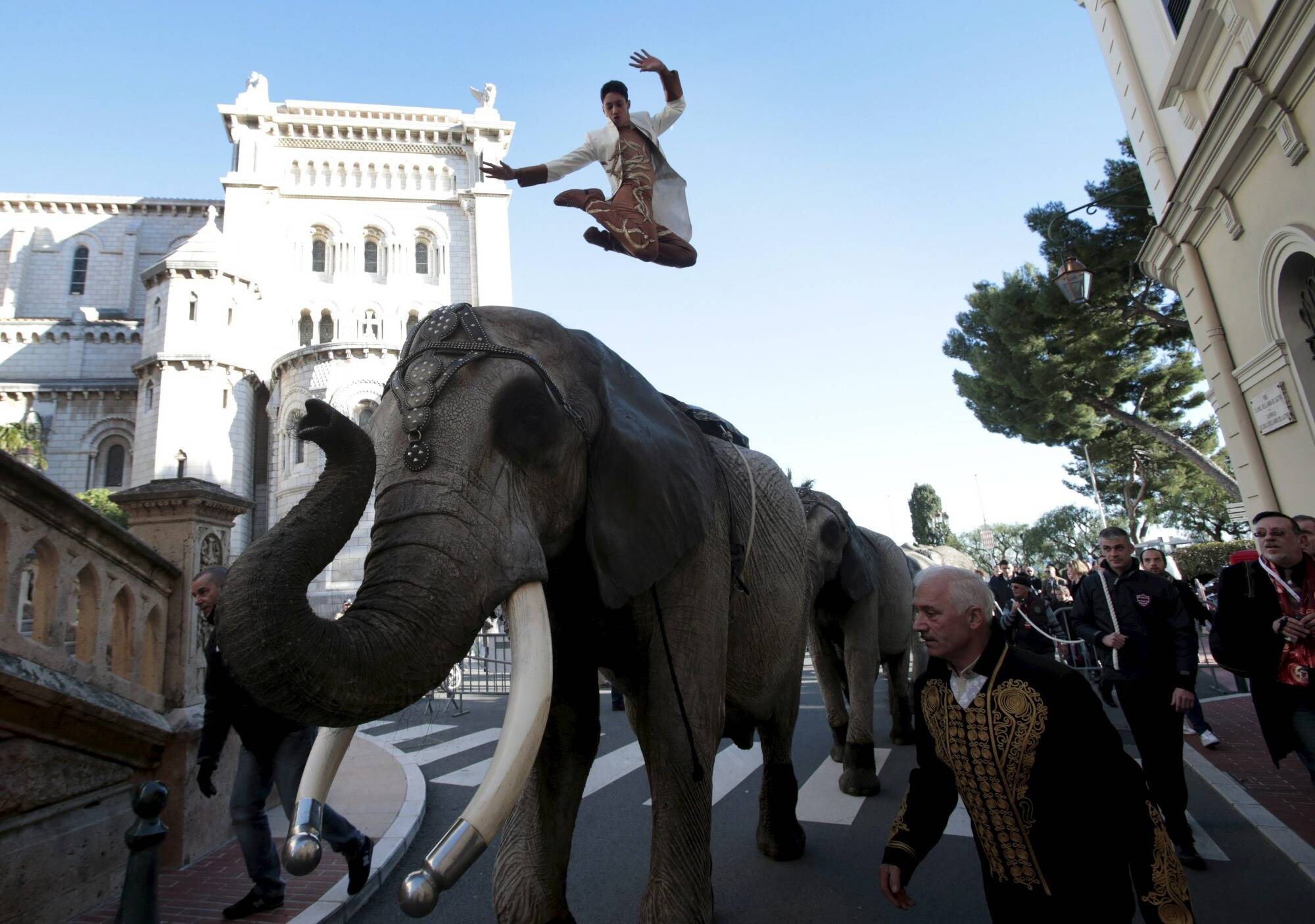 Une semaine avant l'ouverture du Festival du Cirque à Monaco, les artistes vous donnent rendez-vous pour une grande parade (gratuite) samedi