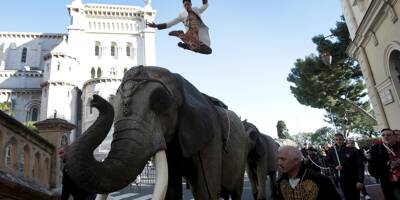 Une semaine avant l'ouverture du Festival du Cirque à Monaco, les artistes vous donnent rendez-vous pour une grande parade (gratuite) samedi