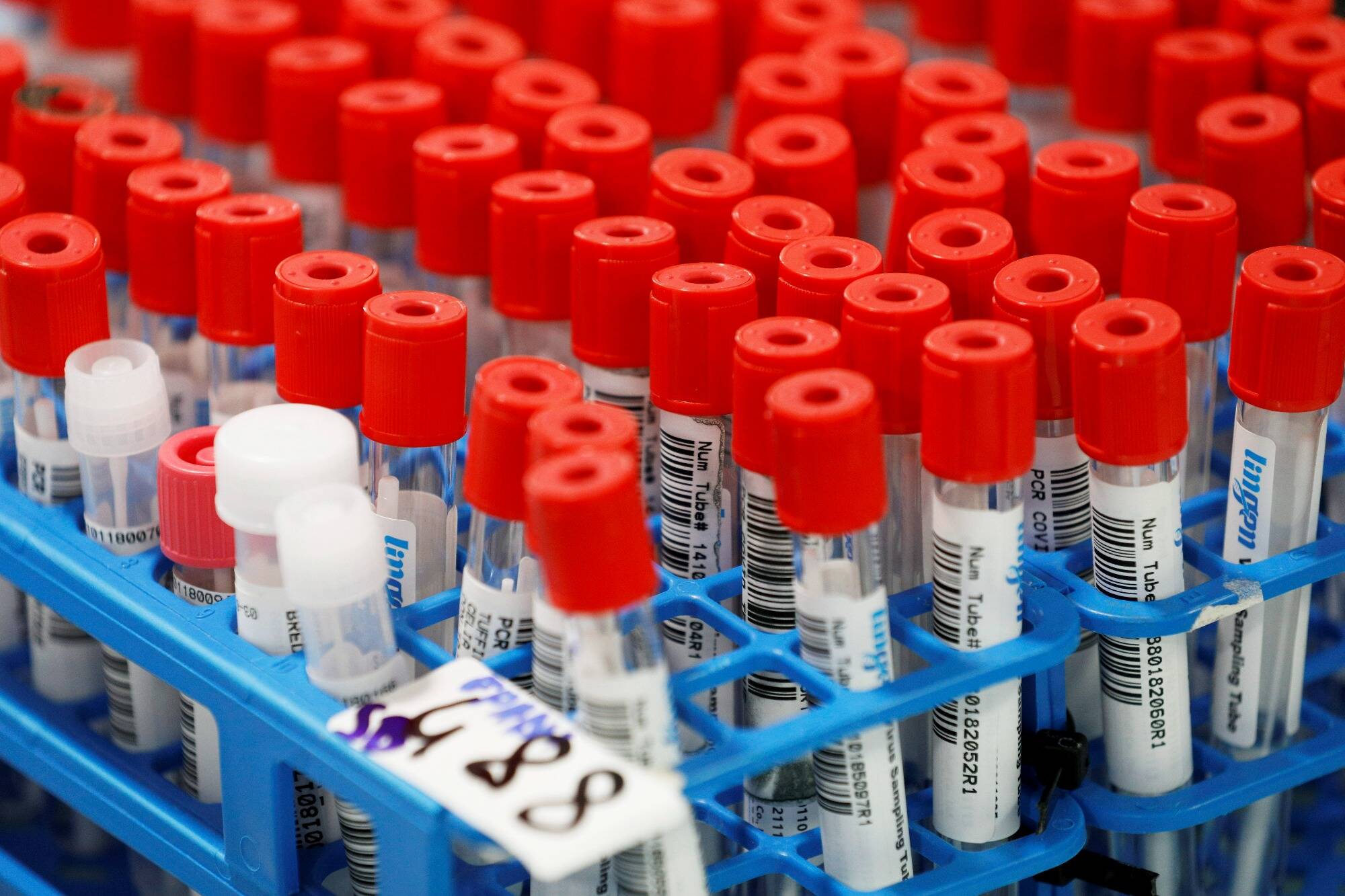 Covid-19 : le gouvernement princier de Monaco met en garde contre le variant Eris