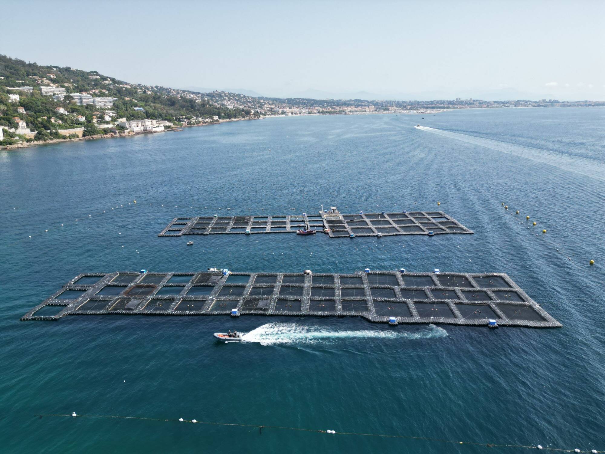 Ce qu'il faut savoir sur le projet de ferme aquacole de 24.000m² entre Golfe-Juan et Cannes