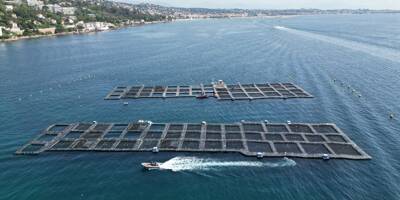 Ce qu'il faut savoir sur le projet de ferme aquacole de 24.000m² entre Golfe-Juan et Cannes