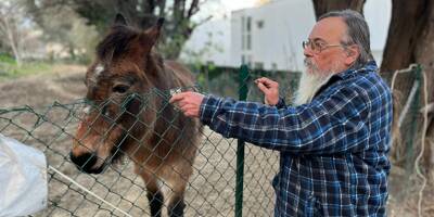 Voici Libé, un petit âne devenu la mascotte de tout un quartier à Antibes
