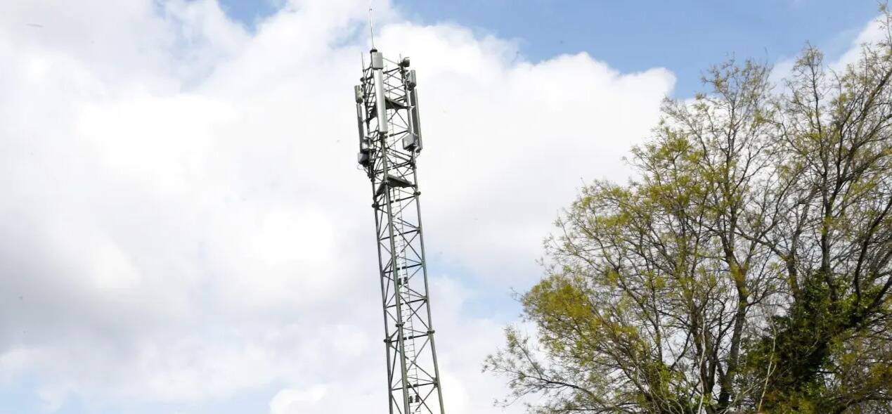 Une antenne 5G dans les champs de fleurs à Hyères: "Je ne crois pas aux nuisances", répond le propriétaire du terrain