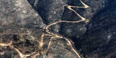 Incendie dans le Var: le Groupe CMA CGM annonce un don d'un million d'euros pour restaurer les espaces naturels sinistrés
