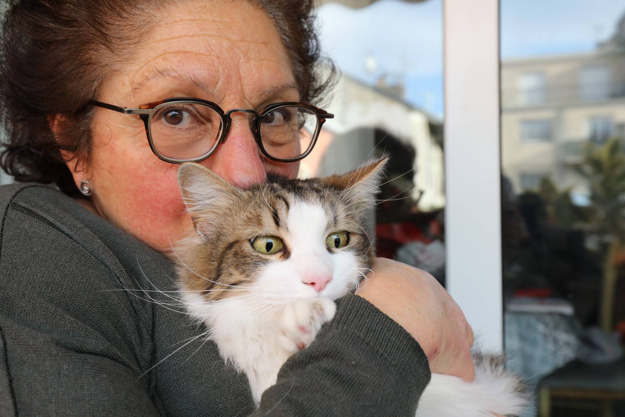 Emmure Pendant 9 Jours Sans Manger Ni Boire Le Chat Kirikou Peut Dire Merci Aux Pompiers A Nice Nice Matin