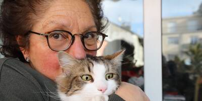 Emmuré pendant 9 jours sans manger ni boire, le chat Kirikou peut dire merci aux pompiers à Nice