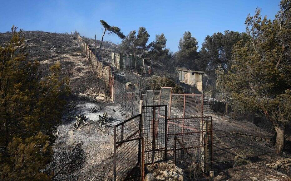 À Marseille, où le feu est désormais "fixé", les habitants découvrent l'ampleur du "massacre"