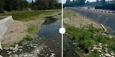 AVANT/APRES. Les dernières pluies ont-elles changé l'état des cours d'eau et lacs azuréens?