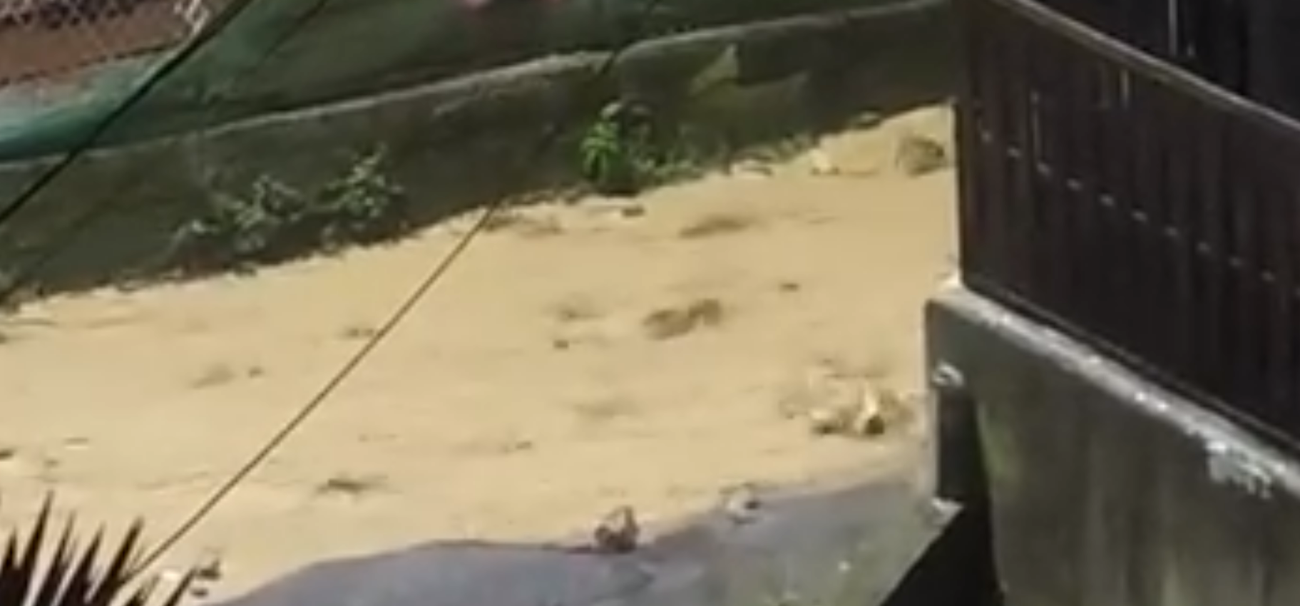 Vigilance orange: à Nice-Ouest, "le Magnan est limite: il ne faudrait pas qu'il pleuve une ou deux heures de plus"