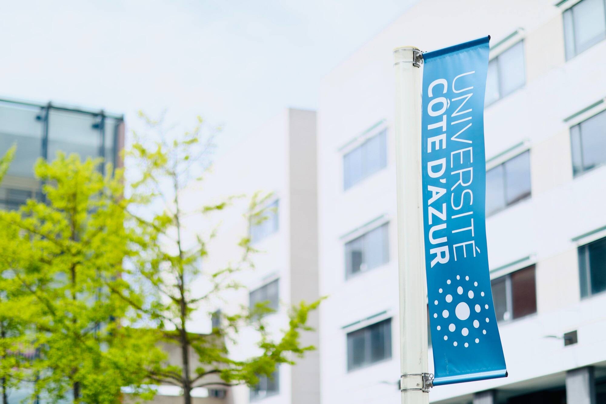 Des frais d'inscription multipliés par 15 à l'université Côte d'Azur: les étudiants étrangers vont douiller à la rentrée