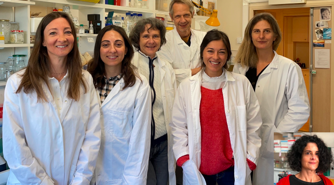 Le gène à l'origine du développement sexuel féminin découvert à Nice