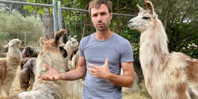 Ce trader est devenu éleveur de lamas: le parcours atypique de Benjamin Leroy-Blanc