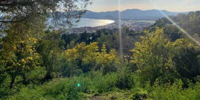 Entre nuages et éclaircies ce vendredi dans les Alpes-Maritimes, jusqu'à 20°C prévus