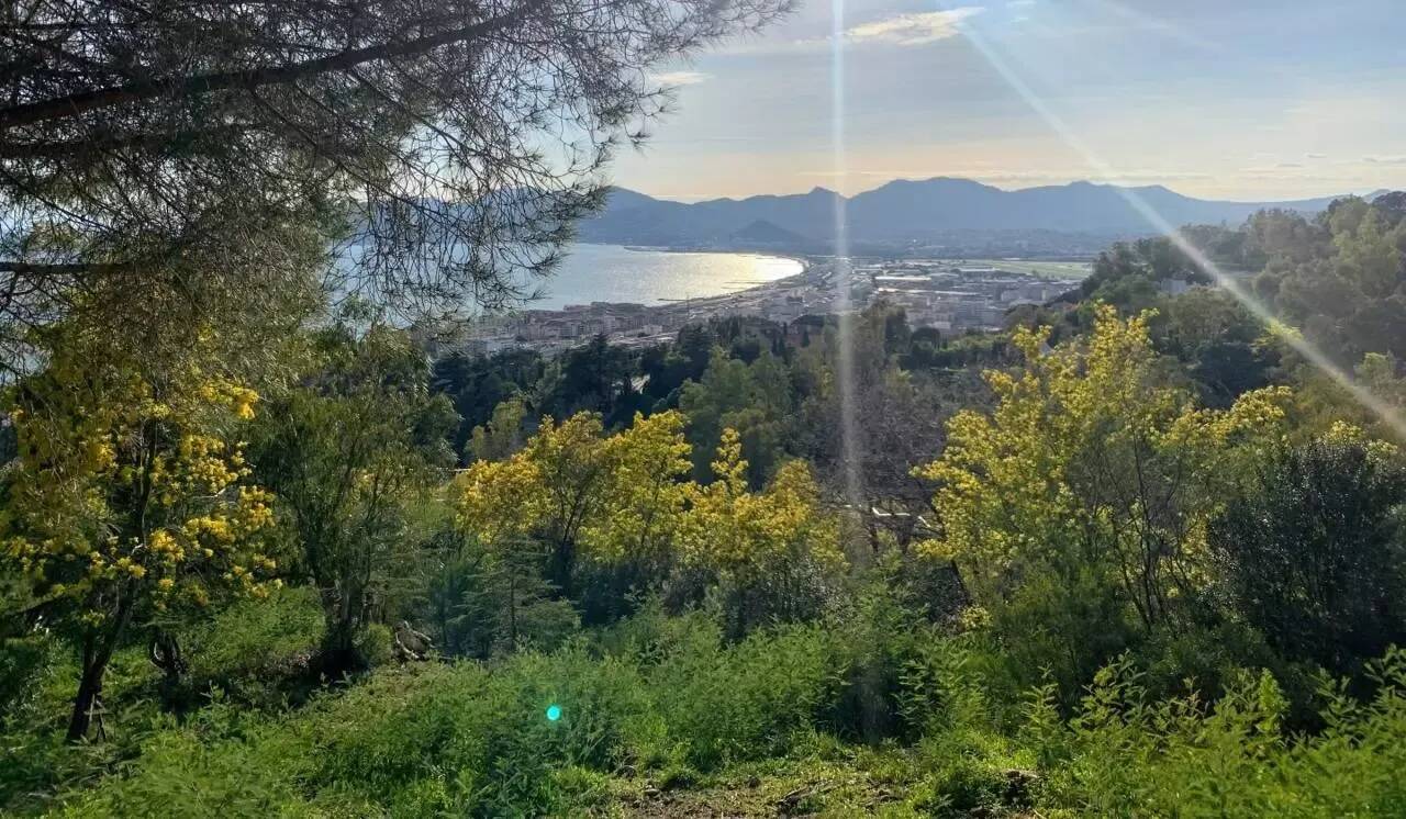 Une nouvelle journée ensoleillée dans les Alpes-Maritimes, jusqu'à 25°C à Nice ce mardi