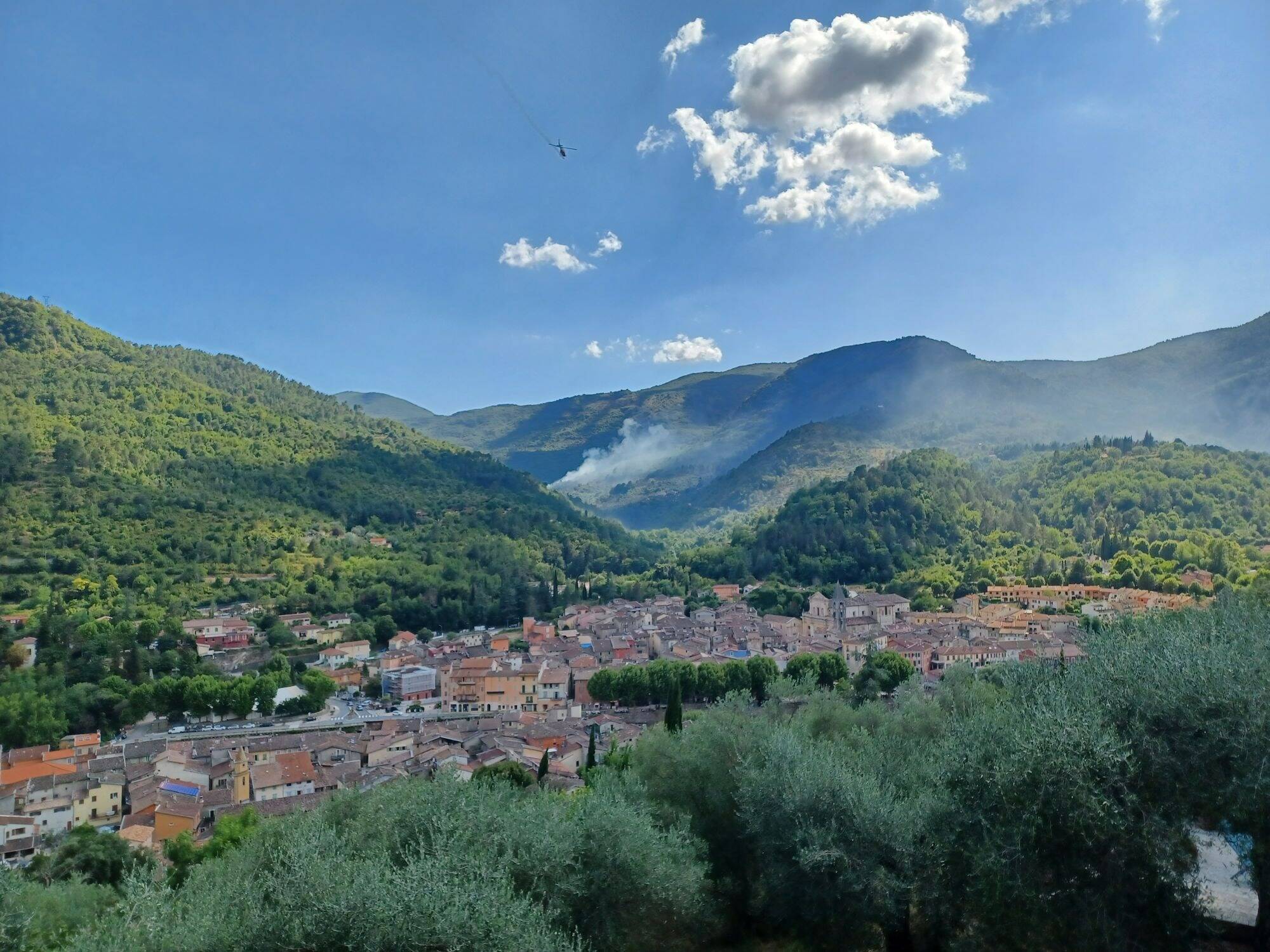Incendie dans l'arrière-pays de Menton: le feu a été maîtrisé après avoir parcouru 5.000 m² de végétation