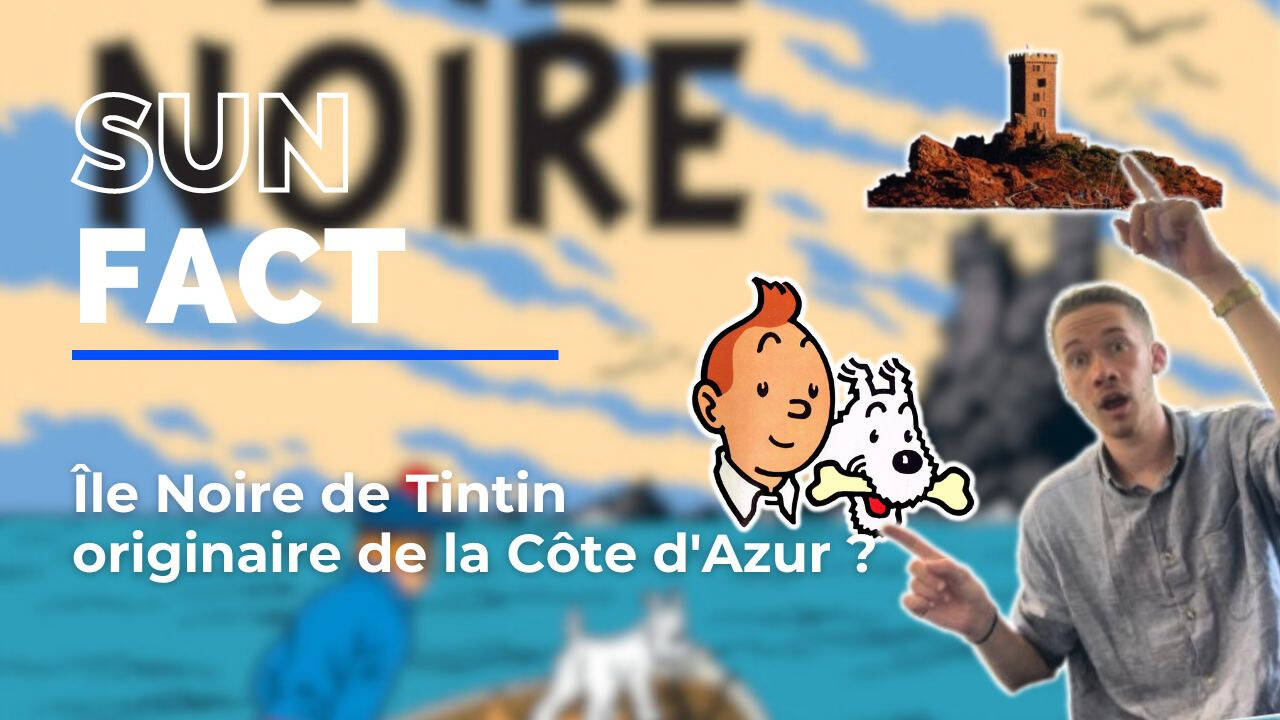 SunFact: Hergé s'est-il inspiré de L'île d'or à Saint-Raphaël pour "L'île Noire", son septième tome des aventures de Tintin