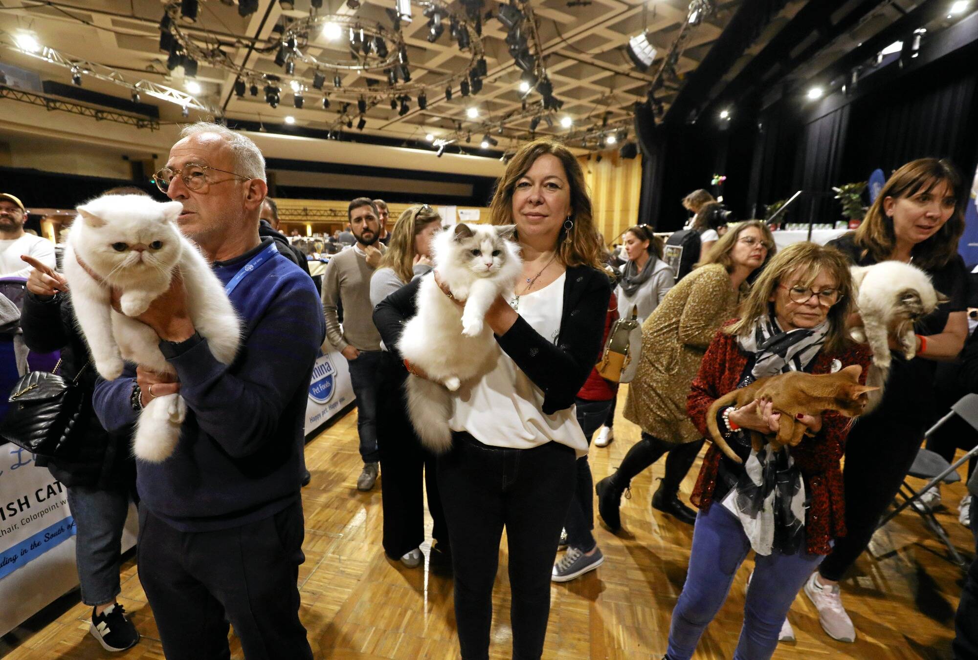 L'exposition féline se poursuit ce dimanche à l'espace Léo-Ferré à Monaco