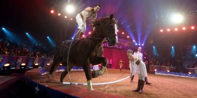 Trois Clown d'or pour les 50 ans du Festival international du cirque de Monte-Carlo