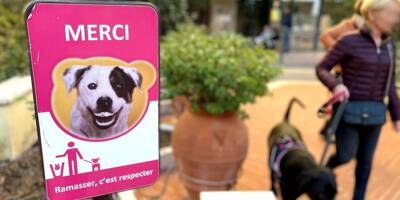 Déjections canines: l'étonnante proposition d'une élue de Monaco pour sanctionner les propriétaires de chiens