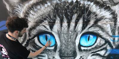 L'art urbain utilisé pour soutenir la cause animale