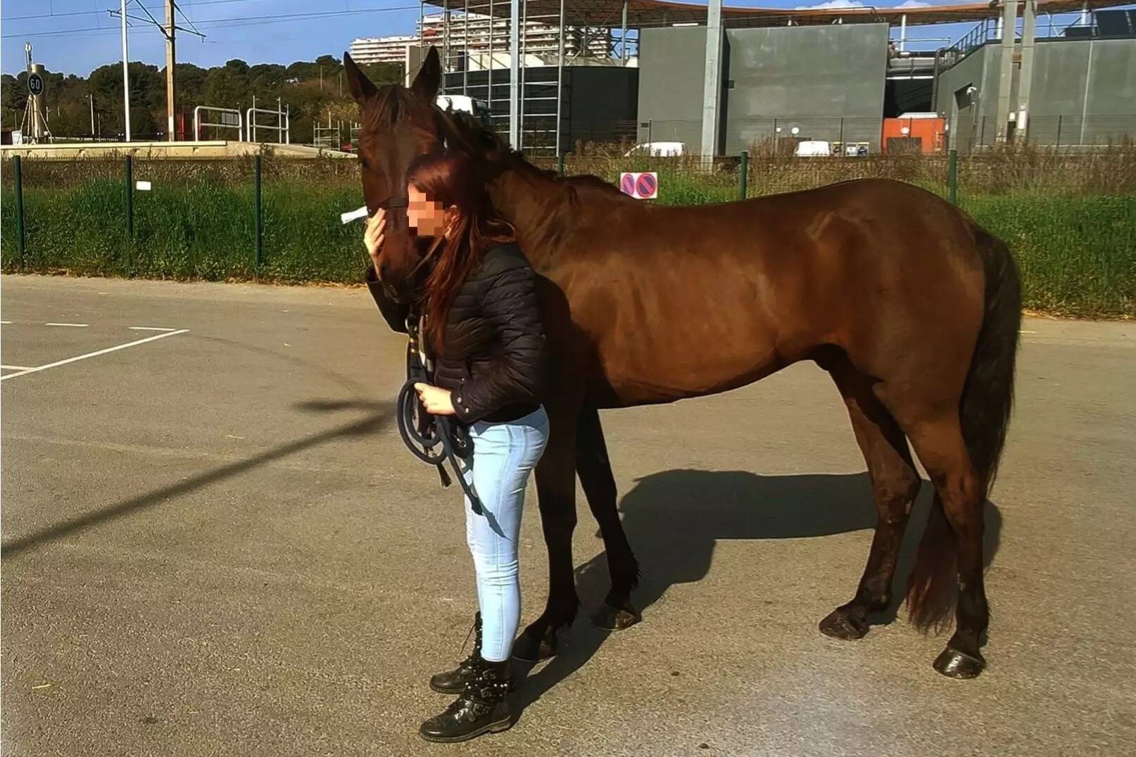 Elle lance un appel à l'aide pour sauver son cheval de l'abattoir