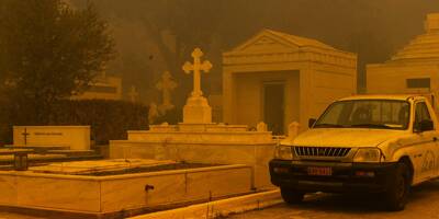 EN IMAGES: les images de sidération et de désolation causées par les incendies en Grèce