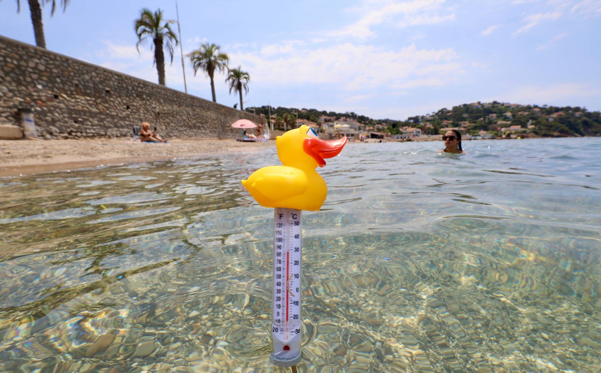 La température de la mer va descendre jusqu'à 15°C dans le Var: qu'est-ce que le phénomène d'upwelling qui touche le littoral?