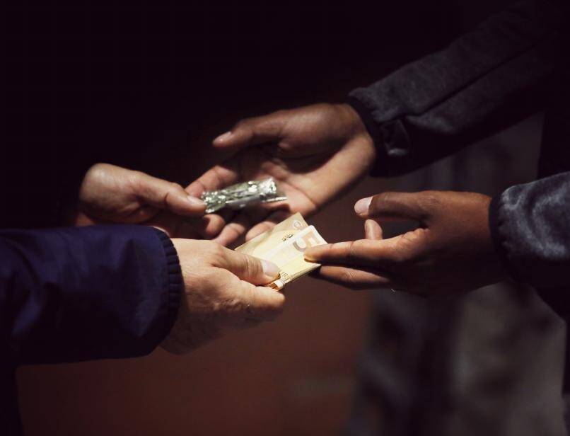 Un atelier de culture de cannabis et un petit arsenal découverts dans l'appartement d'un Toulonnais