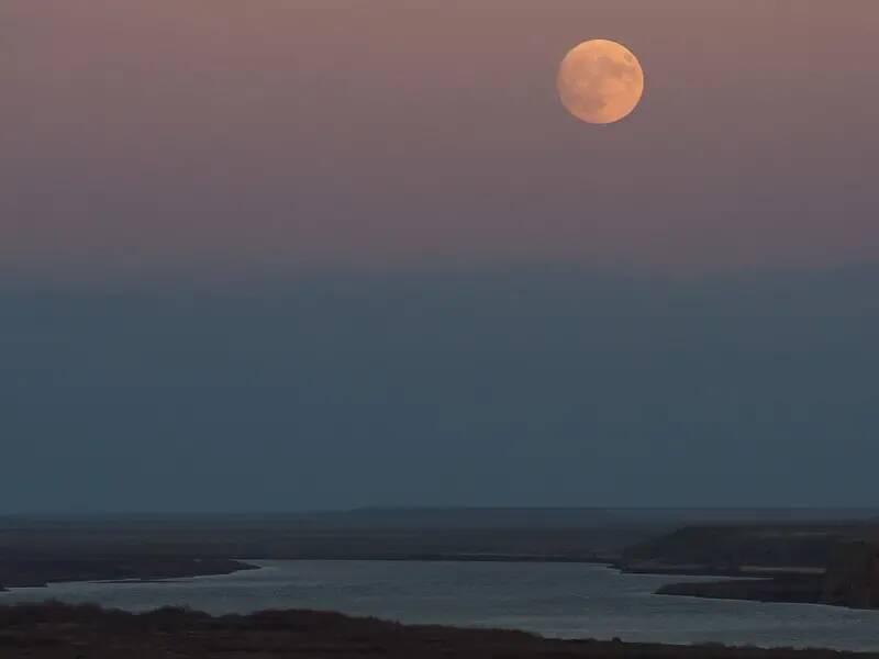 'Super Blue Moon' Is A Very Rare Phenomenon: Why Should We Look Up At ...