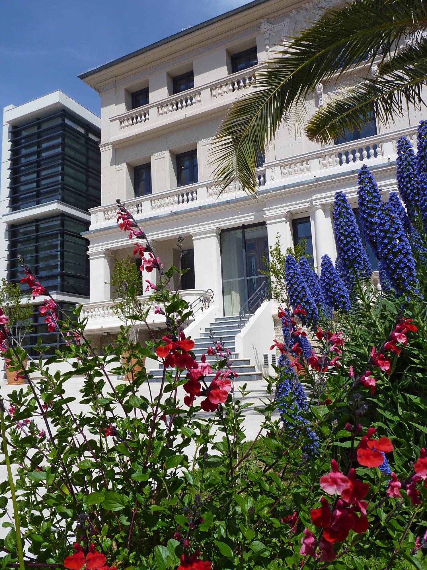 Un généreux donateur offre une toile estimée à 50.000€ au musée Bonnard au Cannet