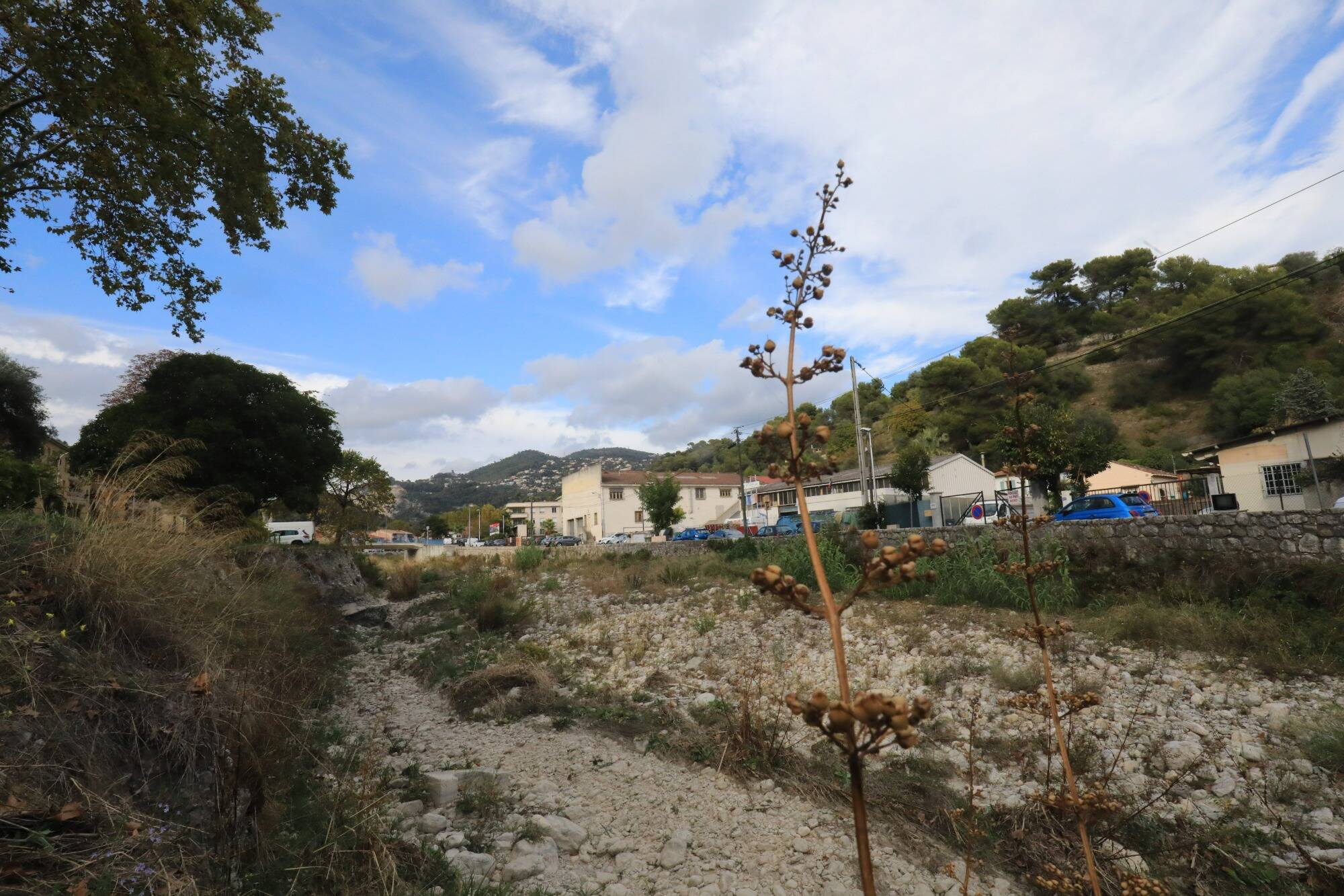 "Les chasseurs peuvent tirer près des maisons": les autorités expliquent pourquoi ils avaient le droit d'abattre les sangliers dans le centre-ville de Saint-André-de-la-Roche