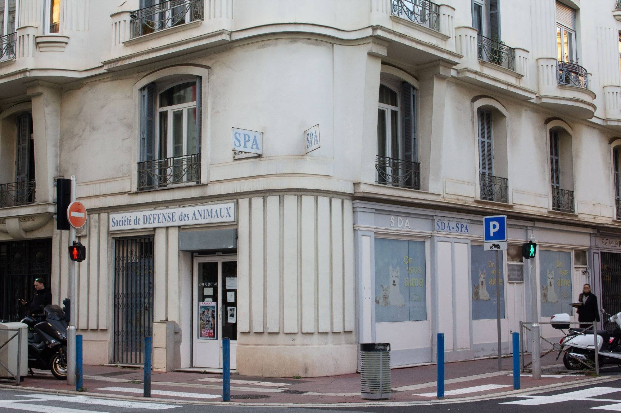 "Ce serait une tragédie pour les chats abandonnés": la Société de défense des animaux (SDA) pourrait fermer ses portes à Nice