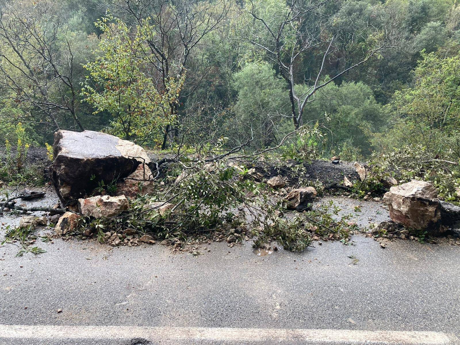 Trois communes des Alpes-Maritimes reconnues en état de catastrophe naturelle après le passage de la tempête Leslie