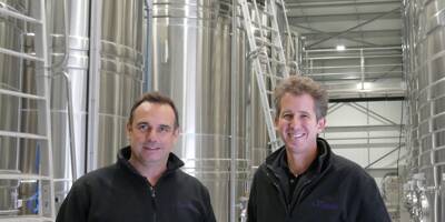 Pourquoi l'entreprise Vineolis à Brignoles offre ses services sur-mesure aux viticulteurs