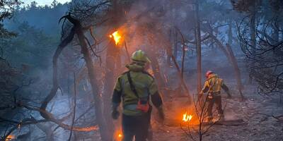 Feu de forêt: des renforts varois pour épauler les pompiers azuréens à Saint-Auban