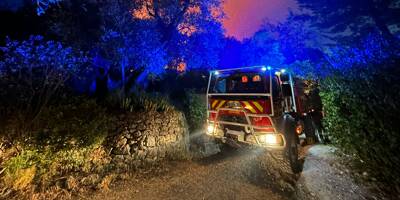 Plus de 100 sapeurs-pompiers mobilisés pour un feu de forêt à Falicon