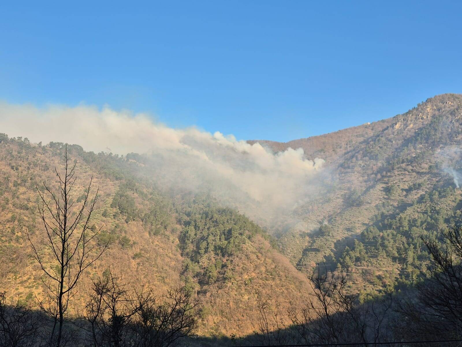 330 hectares parcourus, pas de blessé, surveillance nocturne... On fait le point sur les trois feux de forêt dans la vallée de la Roya ce samedi à 19h