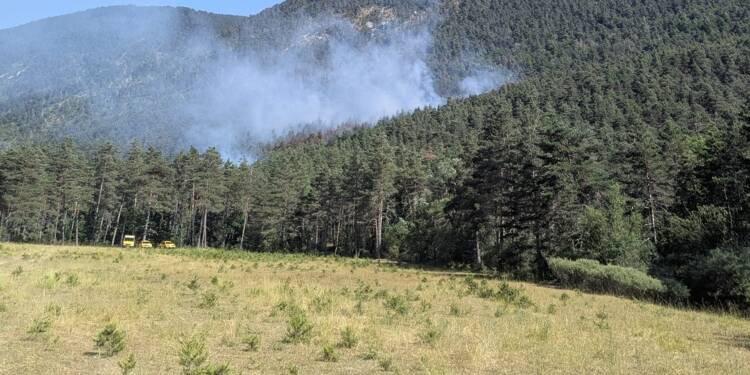 Ce que l’on sait sur l’incendie de Saint-Auban, qui a brûlé un hectare de végétation